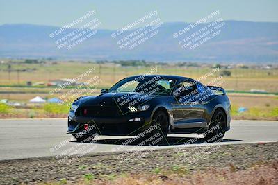 media/May-12-2024-Speed Ventures (Sun) [[eeefa4d2ad]]/Black Group/Session 2-Turns 5 and 6/